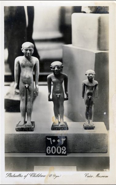 Gallery in the Egyptian Museum in Cairo. Limestone statuettes of youths from the 6th dynasty tomb of Ikhekhi in Saqqara (Cairo CG 47758, 47759, 47760). Album “Cartes postales” (Postcards). 