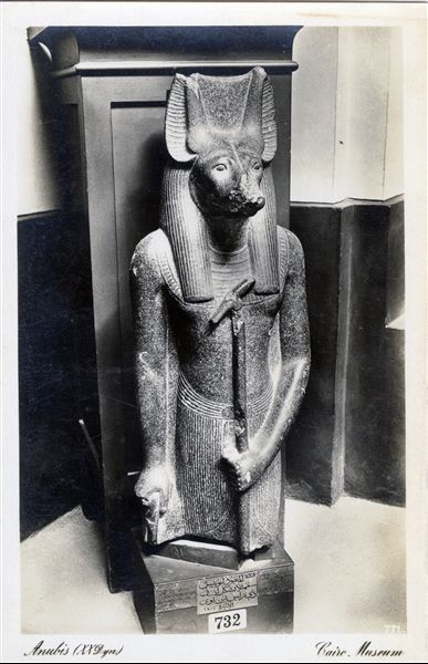 Gallery in the Egyptian Museum in Cairo. Fragmentary statue of the god Anubis. Album “Cartes postales” (Postcards).