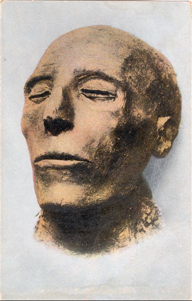 Gallery in the Egyptian Museum in Cairo. Head of the mummy of Pharaoh Seti I. Album “Cartes postales” (Postcards). 