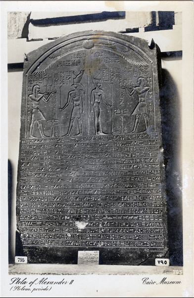 Gallery in the Egyptian Museum in Cairo. "The Satrap Stela", in black granite from the reign of Alexander IV. Ruling Egypt at the time however, was Ptolemy I Soter, who proclaimed himself pharaoh shortly afterwards, thus ushering in the Ptolemaic Period (Cairo CG 22182). Album “Cartes postales” (Postcards).