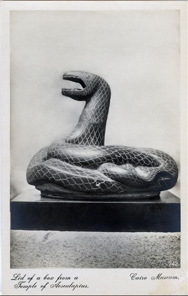 Gallery in the Egyptian Museum in Cairo. Lid of a box coming from the Temple of Asclepius. Album “Cartes postales” (Postcards). 