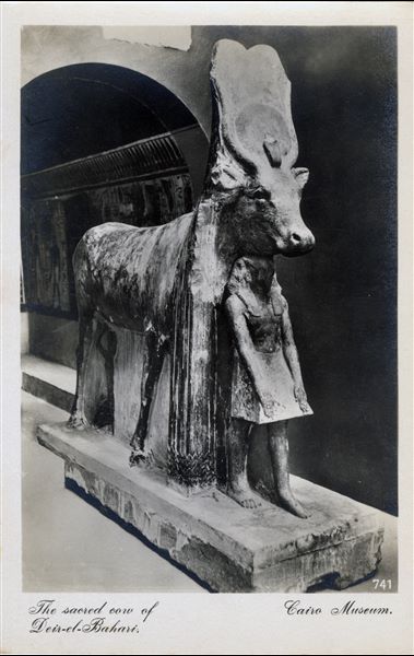 Sala del Museo Egizio del Cairo. Statua della vacca sacra, rappresentazione della dea Hathor, dal tempio di Thutmosi III di Deir el-Bahari. Album “Cartes postales”.