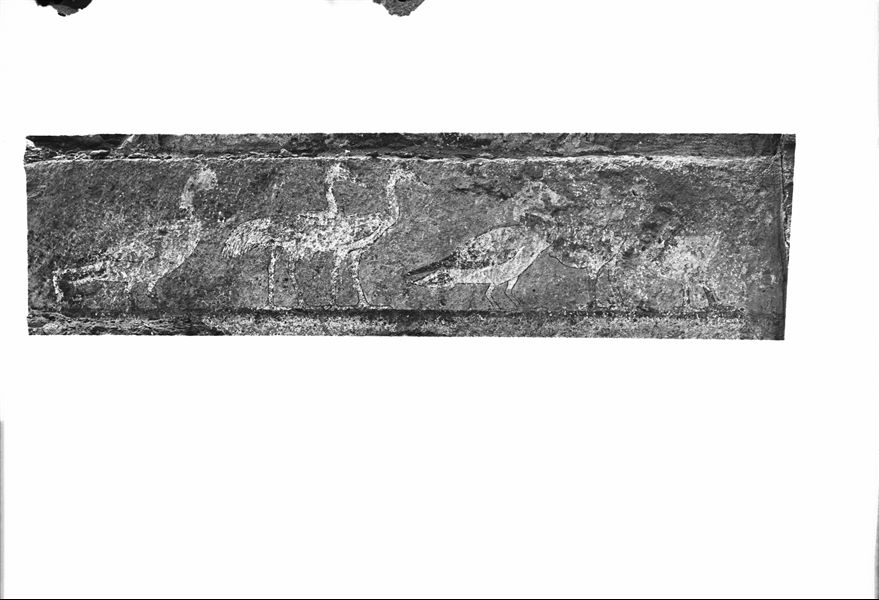 Pitture della tomba a mastaba G 7391, di Iteti. Scavi Schiaparelli.