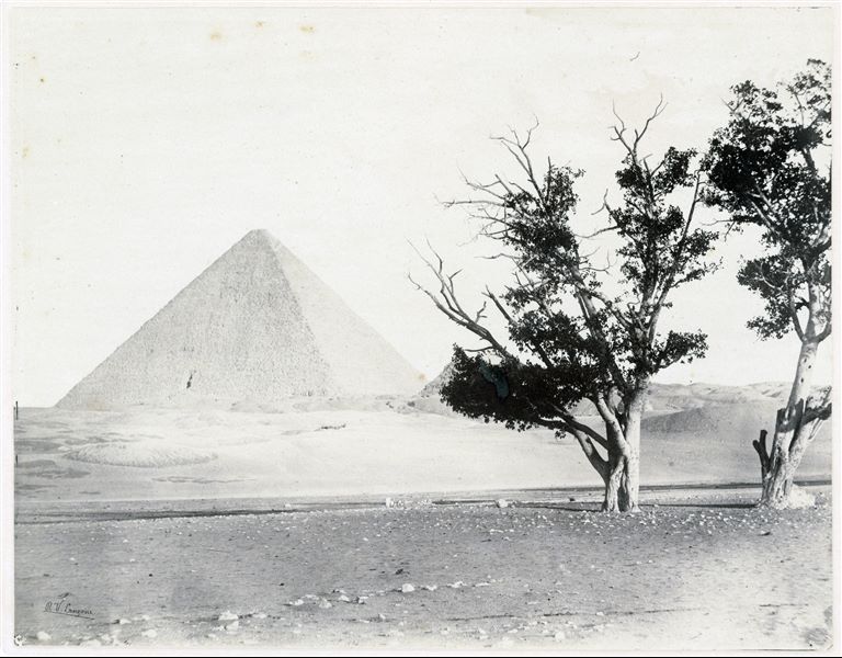 Veduta della piana di Giza, con alcuni alberi in primo piano. Sullo sfondo, la piramide di Cheope e le sue piramidi satelliti (dietro gli alberi), costruite per le consorti. La firma dell’autore si trova in basso a sinistra.
