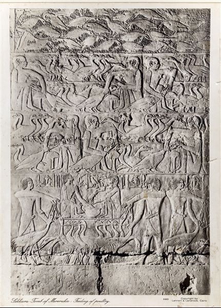 Scena parietale dalla tomba del vizir Mereruka, vissuto durante la VI dinastia, a Saqqara.