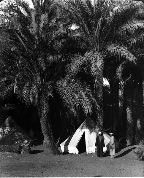 Attendamento della missione archeologica italiana, nei pressi di un palmeto. Francesco Ballerini sta parlando a un membro egiziano della missione, non identificato.