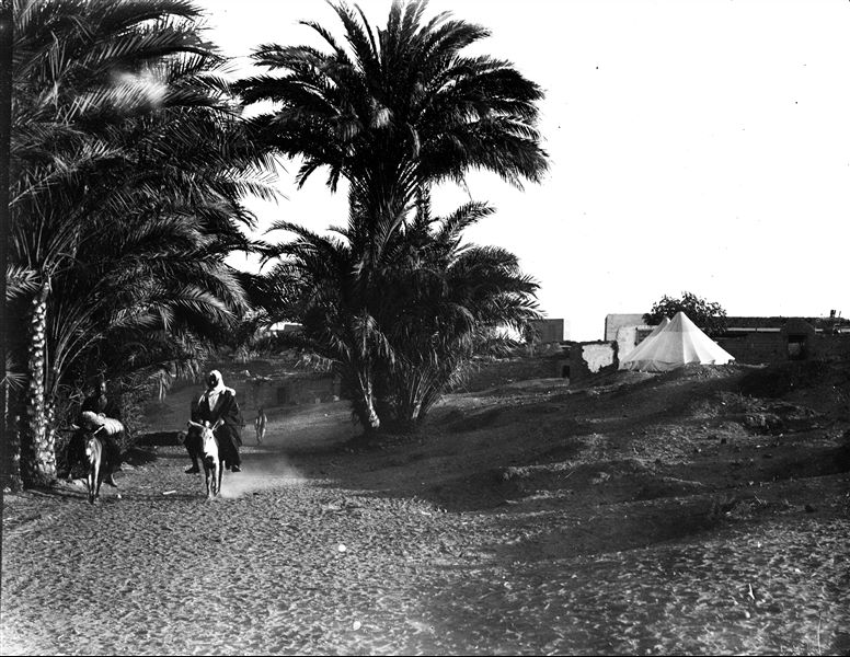 Area near the excavations, two conical tents of the Italian mission can be seen near the modern village. On the left there is a palm grove.