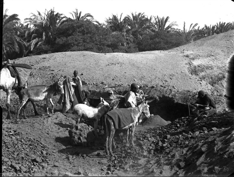 Excavating on the site, near a palm grove. Schiaparelli excavations.
