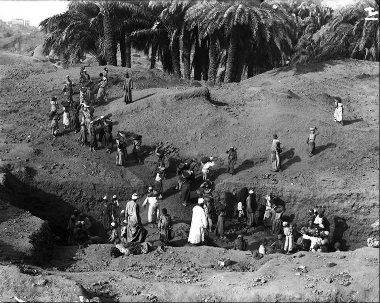 Excavating on the site, near a palm grove. Schiaparelli excavations.