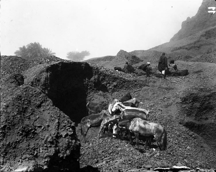 Excavation area of the site. Schiaparelli excavations. 