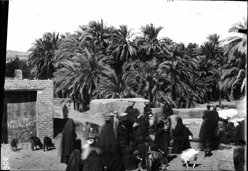 Area near the excavations, part of the modern village can be seen, in the background there is a palm grove. Schiaparelli excavations.