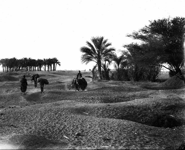 Excavation area of the site. Schiaparelli excavations. 