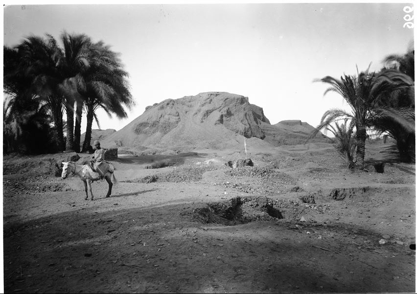Excavation area of the site, with a palm grove. A young worker riding a mule is posing for the camera. Schiaparelli excavations.