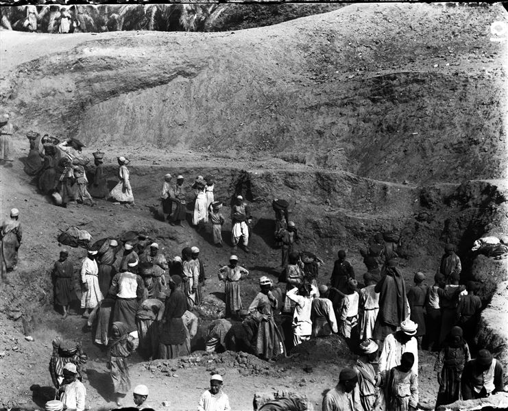 Excavating on the site, near a palm grove. Schiaparelli excavations.