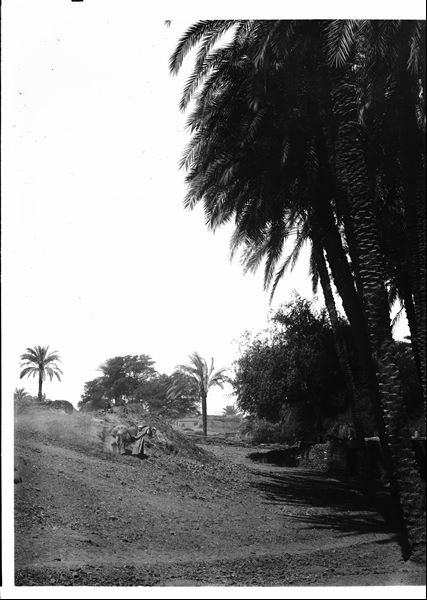 Area near the excavations, part of the modern village can be seen. Schiaparelli excavations. 