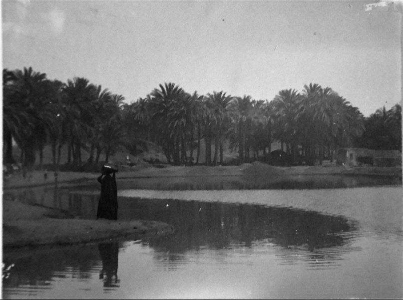 Ashmunein landscape, during excavations by the Italian Archaeological Mission. Angelo Sesana Archive. 