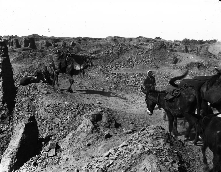 Excavating on the site. Schiaparelli excavations. 