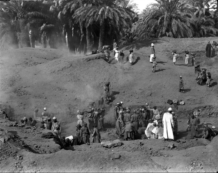 Excavating on the site, near a palm grove. Schiaparelli excavations.