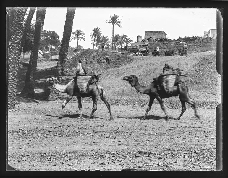  Rural Egyptian area, presumably in the Ashmunein area, where the Italian Archaeological Mission was excavating.