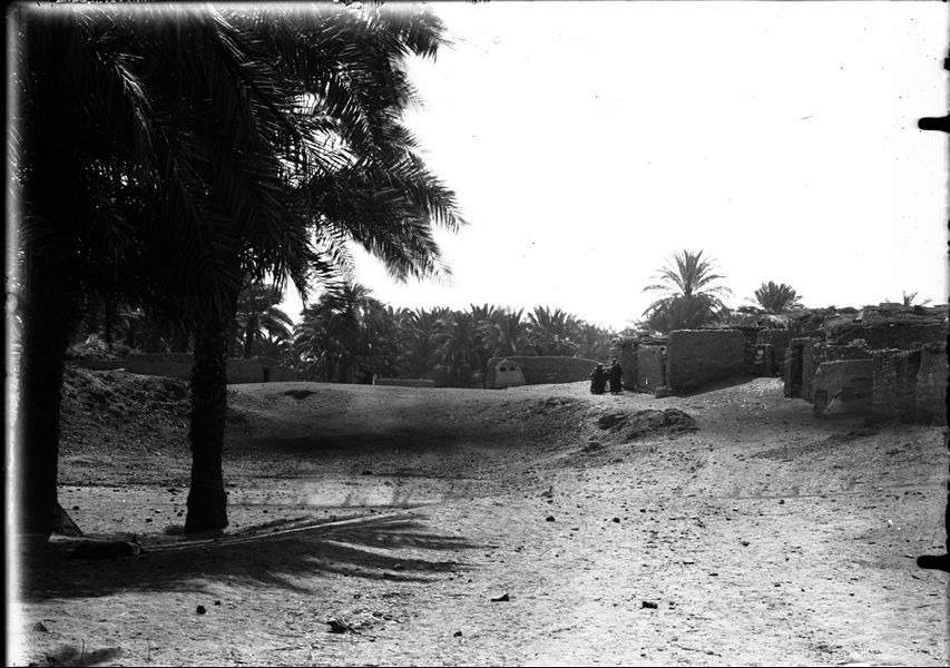 Area near the excavations, a palm grove and part of the modern village can be seen. Schiaparelli excavations. 