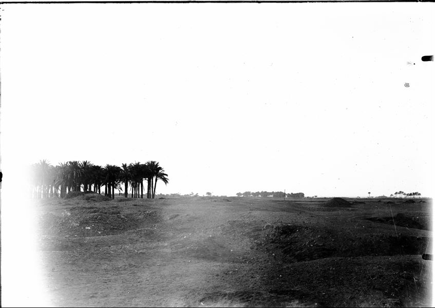Excavation area of the site. Schiaparelli excavations. 