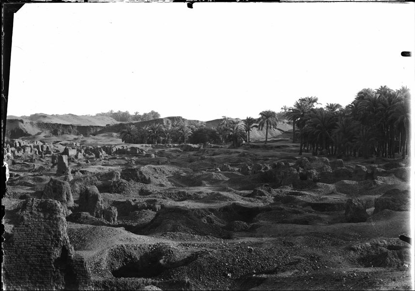 Excavation area of the site. Schiaparelli excavations. 