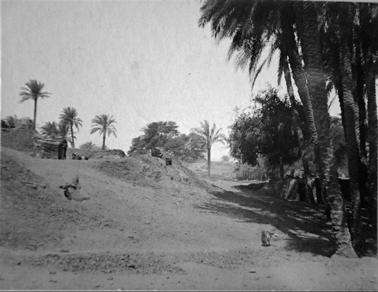 Landscape of the archaeological site of Ashmunein. Angelo Sesana Archive. 
