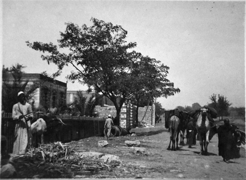 Fotografia scattata a Minia, una località non lontana da Ashmunein, dove la Missione Archeologica Italiana stava scavando nel 1909. Archivio Angelo Sesana.