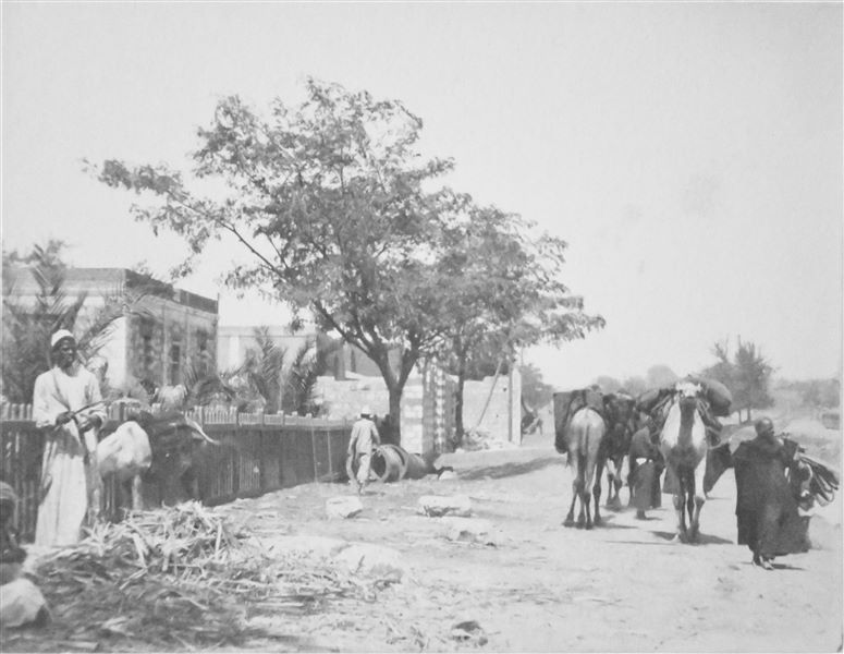 View of Minia, from the original caption. Angelo Sesana Archive. 