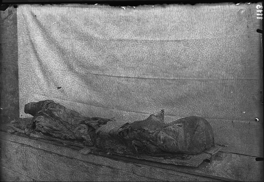 Mummified remains of Meres (the deceased), with fragments of textile and cartonnage (S. 8942), photographed near the camp in front of Tomb III. Schiaparelli excavations.