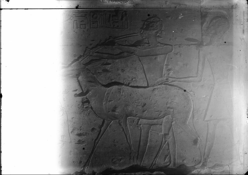 Temple of Ramesses II at Abydos, second courtyard, detail from the north wall (entrance). A gazelle is depicted, being presented as an offering.
