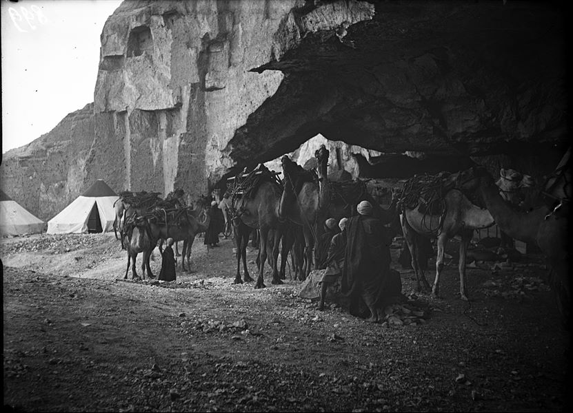 Camp of the Italian Archaeological Mission near the caves of Qau el-Kebir. Arrival of camels to begin transporting the cases towards the Nile. Schiaparelli excavations. 