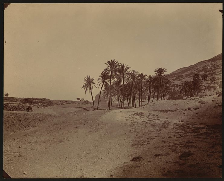 Veduta del paesaggio e della catena montuosa nei pressi delle aree archeologiche di Hammamiya. Sulla destra si intravedono delle sepolture musulmane. Scavi Schiaparelli.