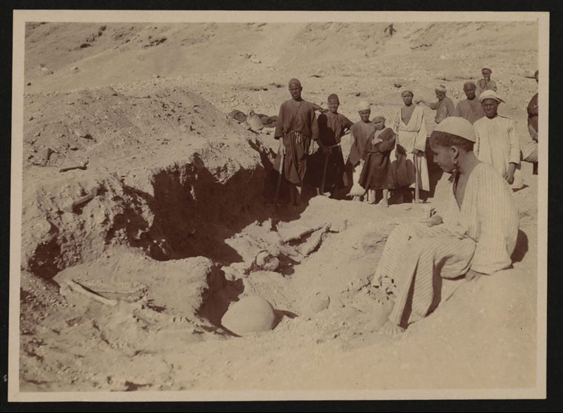 Discovery of a burial, in the flat area overlooking the mountain near Hammamiya, where a Predynastic necropolis was found. 