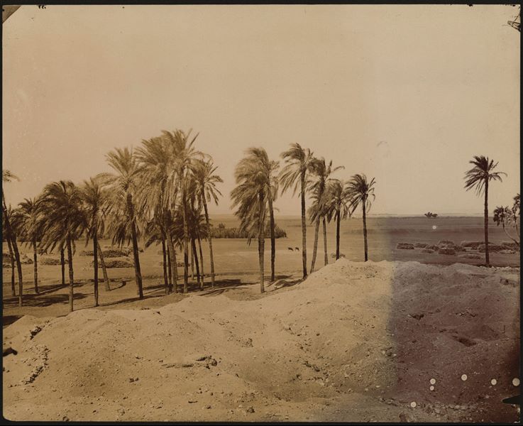 Veduta del paesaggio e della catena montuosa nei pressi dell’area archeologica predinastica di Hammamiya. In primo piano, la terra smossa durante gli scavi della necropoli. Scavi Schiaparelli.
