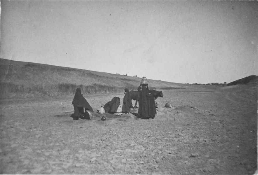 Landscape and agricultural life, presumably in the area of Qau el-Kebir. Angelo Sesana Archive. 