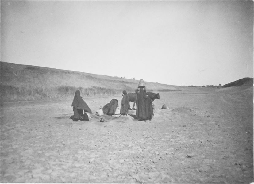 Landscape and agricultural life, presumably in the area of Qau el-Kebir. Angelo Sesana Archive. 