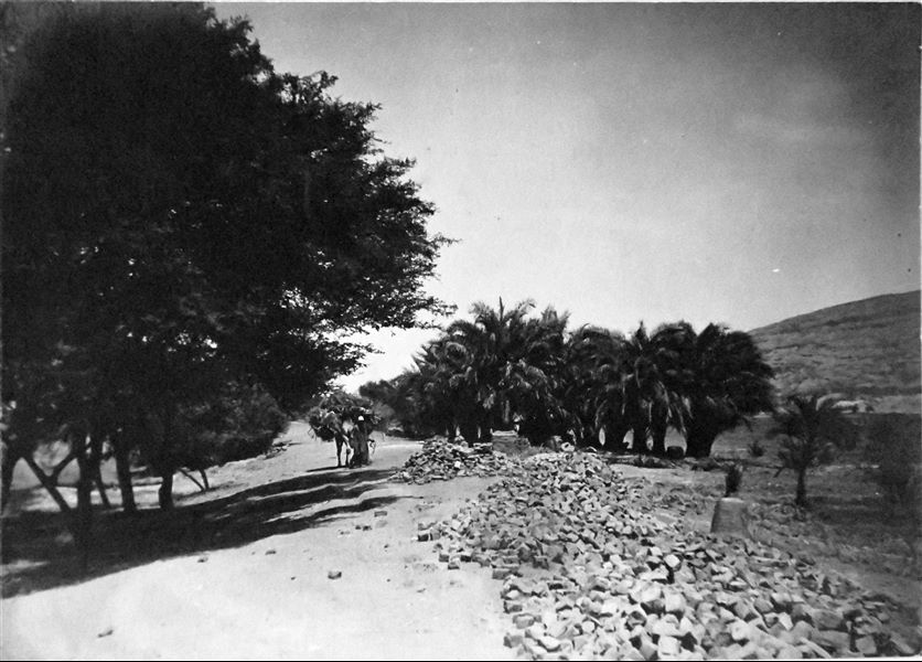Paesaggio nell’area di Qau el-Kebir, sullo sfondo la montagna con la necropoli rupestre. Archivio Angelo Sesana. 