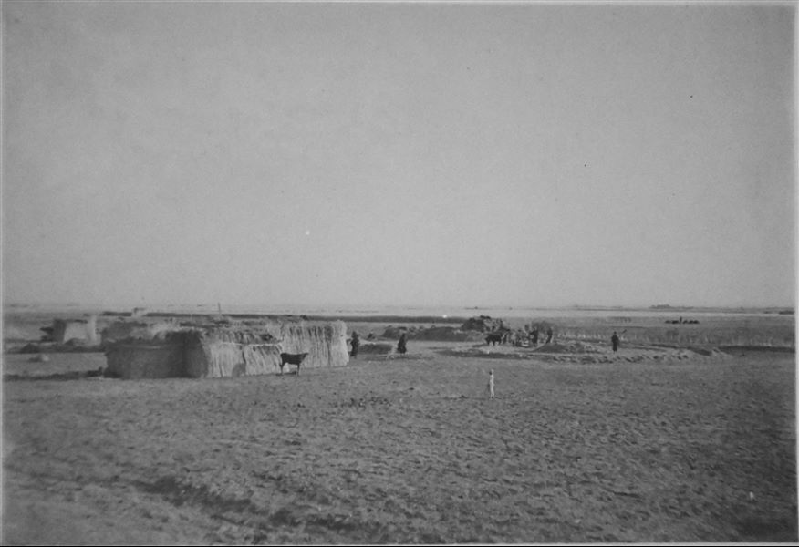 Scena di vita agricola. Archivio Angelo Sesana. 