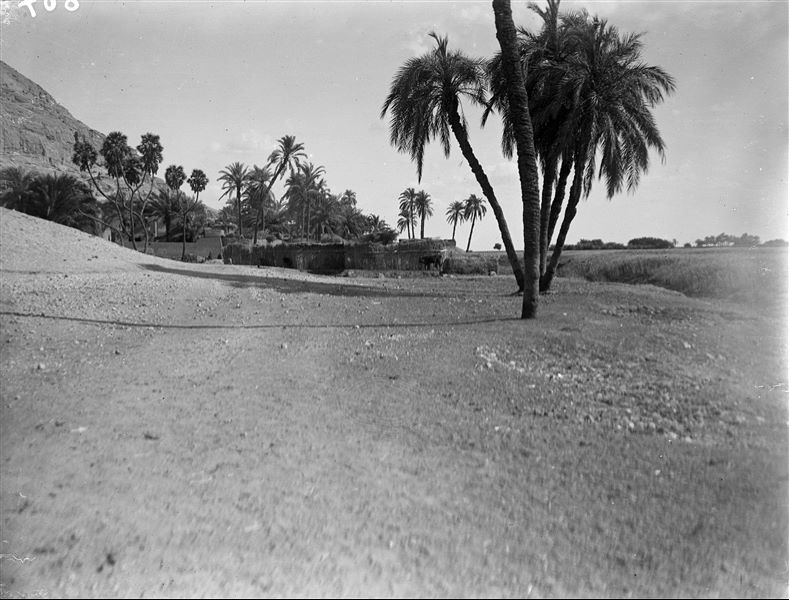 Il villaggio ai piedi della montagna, probabilmente tra Qau el-Kebir e Hammamiya. Scavi Schiaparelli.