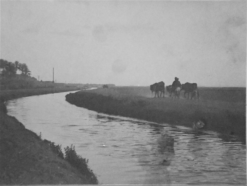 Scena di vita agricola lungo un canale. Archivio Angelo Sesana. 