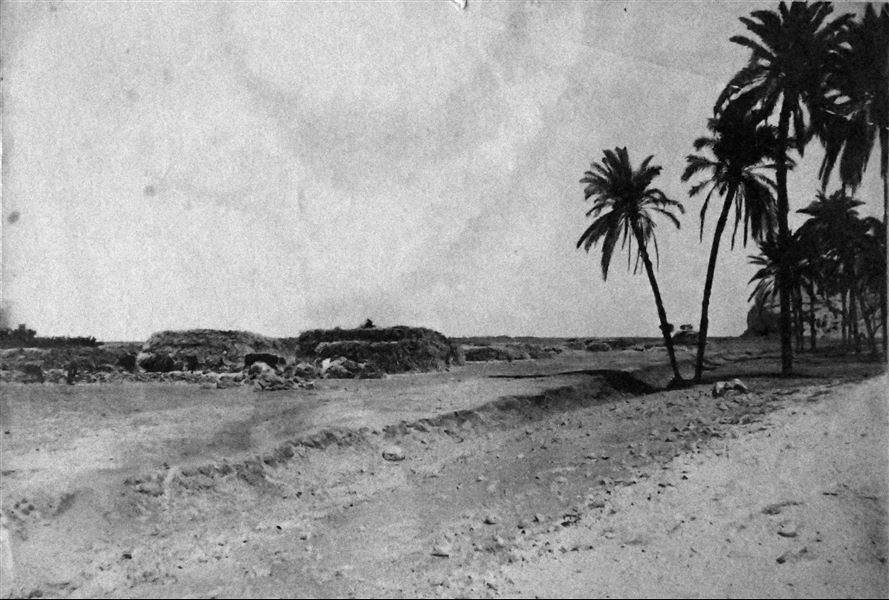 Landscape in the Qau el-Kebir region, near the rock-cut tombs. Angelo Sesana Archive. 