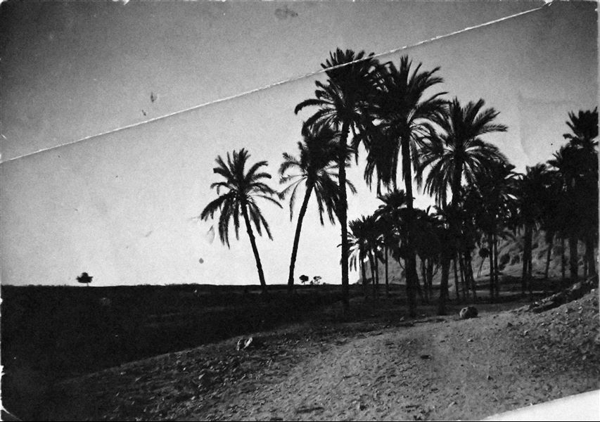 Paesaggio nell’area di Qau el-Kebir, in prossimità della necropoli rupestre. Archivio Angelo Sesana.