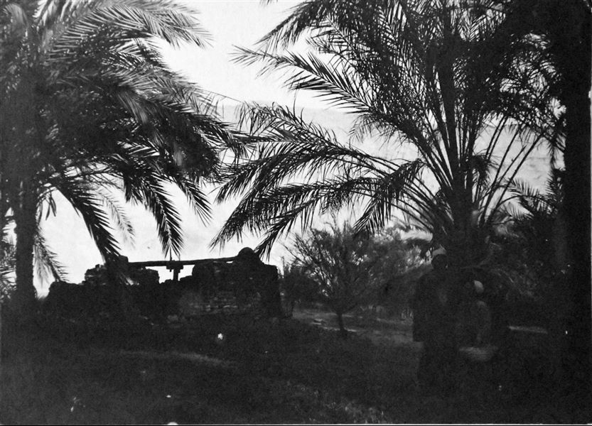Landscape in the Qau el-Kebir region, with a photograph of a man and a child in front of a saqiyah: a hydraulic device for supplying water. Angelo Sesana Archive. 