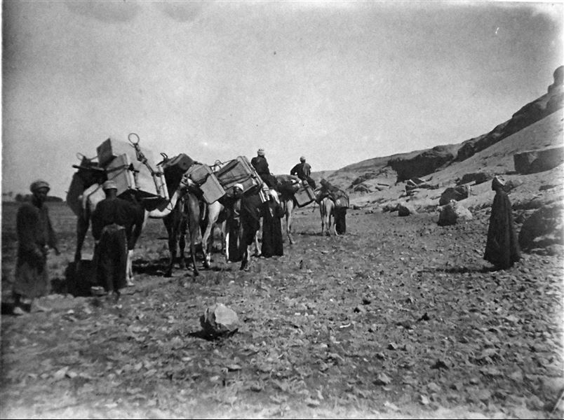 Trasporto delle casse contenenti antichità dal sito di Qau el-Kebir verso il Nilo. Archivio Angelo Sesana. 