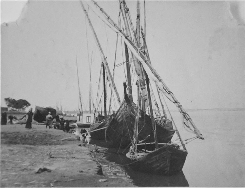 Tre imbarcazioni in riva al Nilo, presumibilmente nell’area di Qau el-Kebir. Archivio Angelo Sesana. 